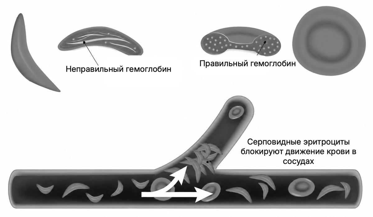 Какой метод позволяет определить данные изменения?